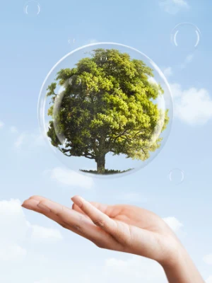 Eco Commitment